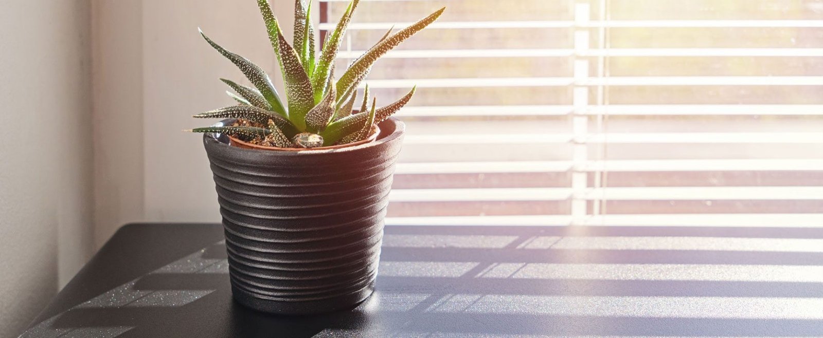 6d451a34727e4bd2000f1509521c8a23f8efef38